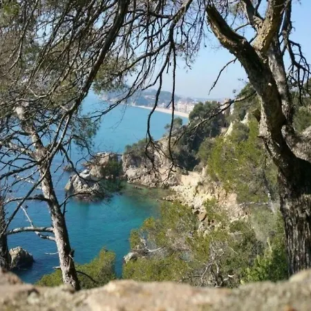Διαμέρισμα Les Terrasses De Sylvabelle 2 La Croix-Valmer